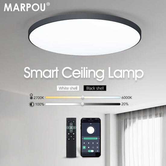 LumaHome LED Ceiling Lamp